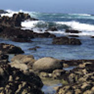 Meet your Posher, Mamag